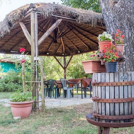 Agriturismo Artisti Del Cavallo Arezzo Exterior photo